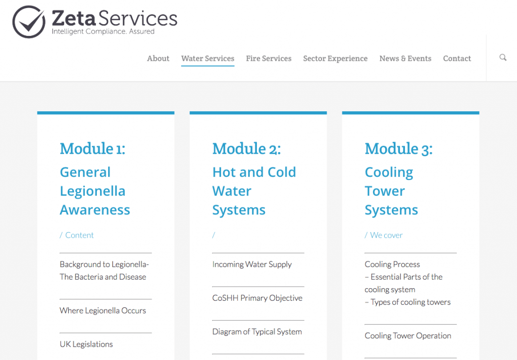 Zeta Services responsive website development